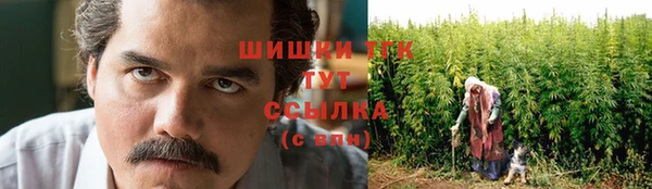 тгк Беломорск