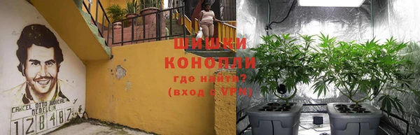 бутират Богданович