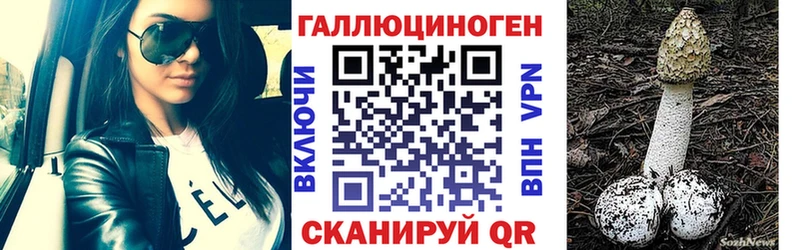 Псилоцибиновые грибы MAGIC MUSHROOMS  где купить наркоту  Карталы 